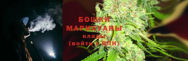 соль ск Богородск