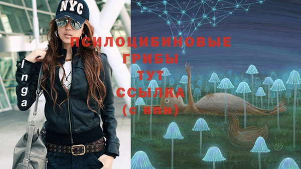 спиды Ростов